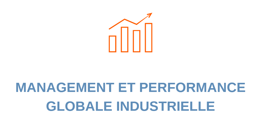 Management et performance globale industrielle